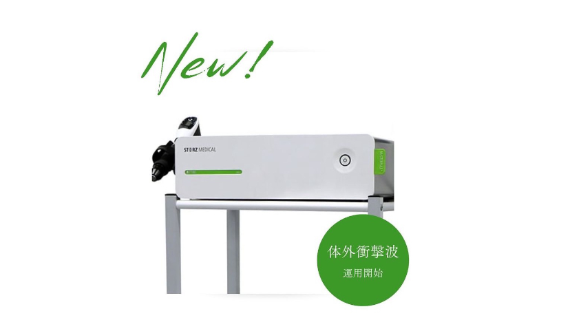 波動整体療法 本多和彦著 ◆特典　もう手に入らない資料付き！ 波動整体療法 /文芸社/本多和彦（中古 波動整体療法⁄文芸社⁄